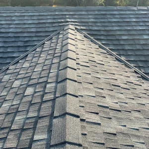 Shingle Roofing_33_11zon